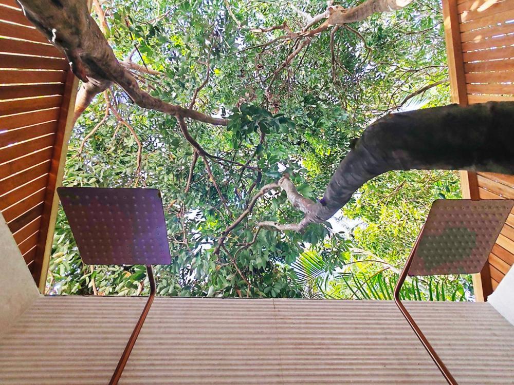 Coliver - Coliving A La Reunion Saint Pierre Exterior photo