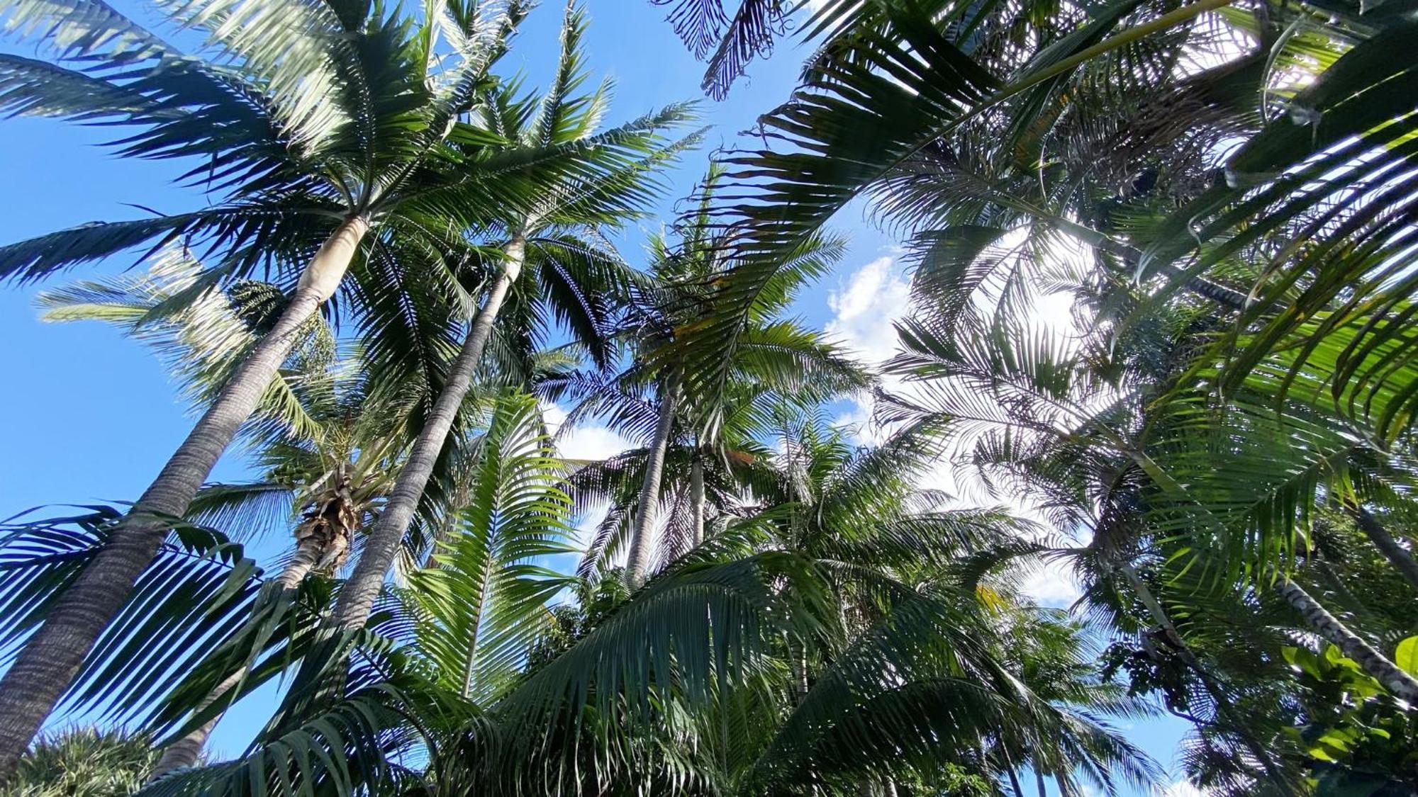 Coliver - Coliving A La Reunion Saint Pierre Exterior photo